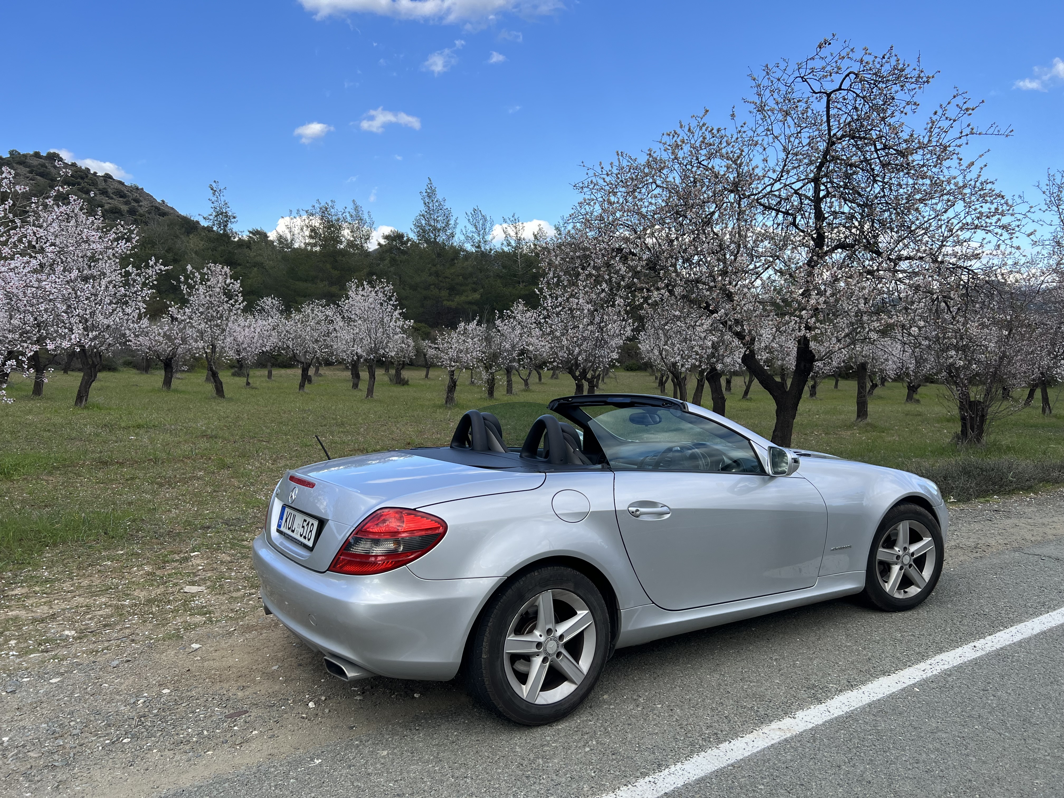 Rear — cherry blossoms, roof down